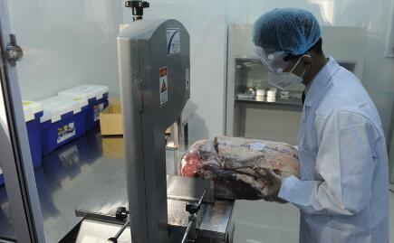 进口肉蠢蠢欲动，京东预计三年进口133亿