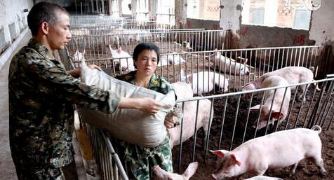 河南15亿元支持畜牧产业扶贫