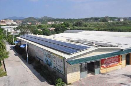 散养户以后这样养猪！农业部等6部委也支持