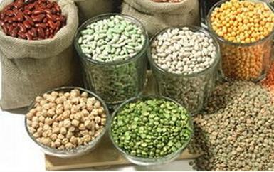 豆粕出现区域性供应紧张  豆粕重心有望逐步上移 