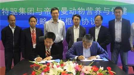 特驱集团与荷兰皇家帝斯曼集团签订战略合作框架协议