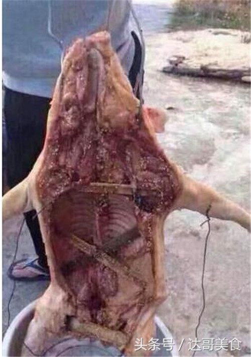 小伙子想去烤猪，出炉后，大伙都笑趴下了