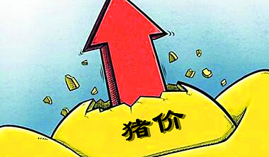 12月份上涨大势已定，只是仍欠“消费”东风