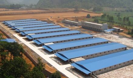 许道军：猪场通风保温可以两全 低成本改造栏舍可兼得