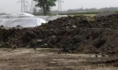 新标准酝酿出台，养殖场户要如何适应新的标准？