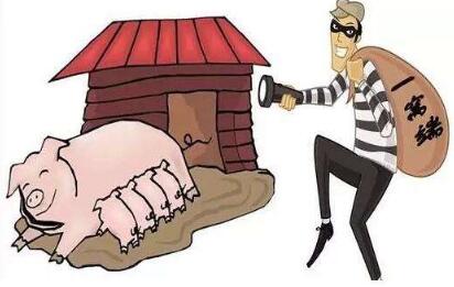 广西宾阳：兄弟俩深夜“潜伏”邻村猪圈 盗走12头猪崽