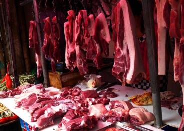 为何如今猪肉越来越难吃了 专家：还真怨不得养猪人