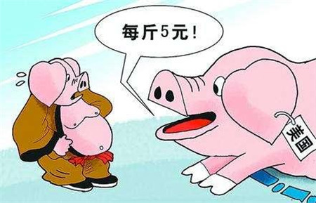 国内养猪人对于进口猪肉的看法，是不是太偏激了？
