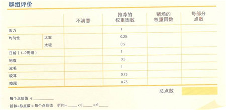 购买仔猪时应该检查哪些方面？