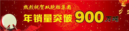 年销量突破900万吨，双胞胎再现王者风采！