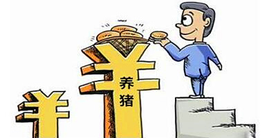 养猪老板们，你的养猪成本四块五能做到吗？