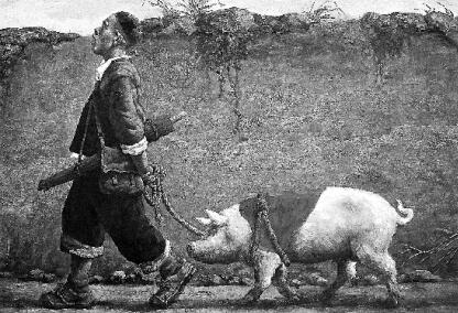 明年养猪能不能赚钱？看了本文你就知道了！