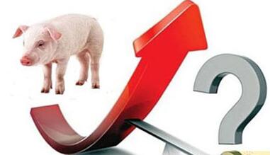 温氏等大佬纷纷发力生鲜门店 此举能否摆脱“猪周期”？