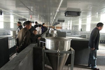 现代猪场常用设备