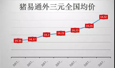 11月以来最大涨幅 猪价这是要发力了吗