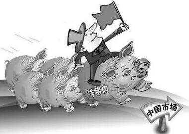 今年1-9月份：我国生猪产品进口同比减22.2%