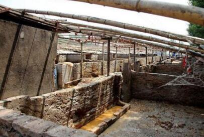 “巨量泔水进养猪场”后续：南京涉事养猪场已被关停