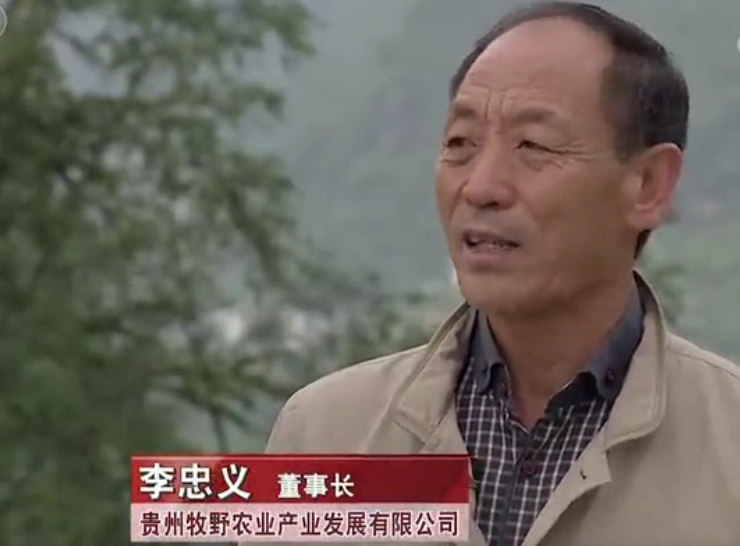 养猪大智慧：5000亩地才养5000头猪，想干嘛？