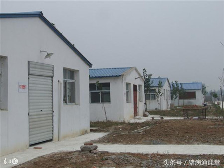 规模化猪扬应采用哪些防控措施？