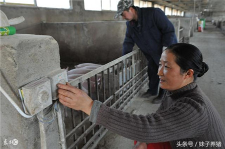 猪场起粪便的3个小办法，养猪人告诉你，省事不少