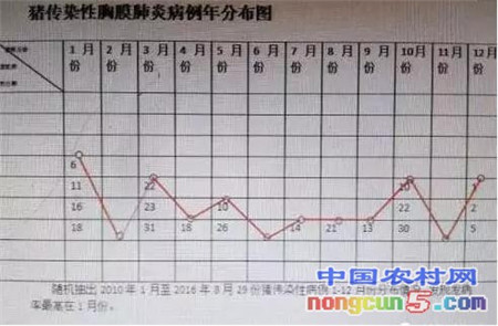 警惕：近期猪突然死亡率的40%，是因为这种病！