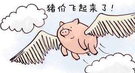 12月份继续大涨？这几天可能有坑？