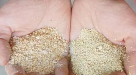 豆粕利好因素叠加？但是后市上涨空间将有限？