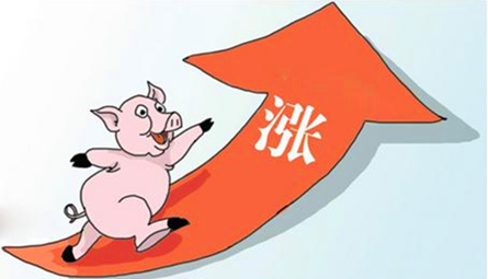 “破七奔八”的猪价，屠企连续压价，猪价还能飞吗？