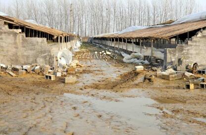 养殖污染情况纳入政绩考核，贵州将再关248家养殖场！