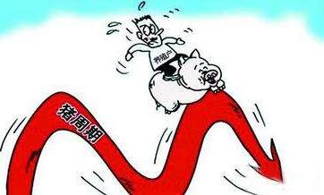 雏鹰农牧侯建芳：全产业链模式平滑猪周期