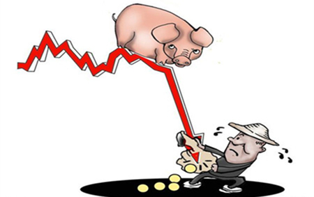 猪场卖猪的4个规律，告诉你养猪人多赚钱！