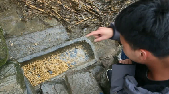 农村老式猪圈和猪槽，小伙子说猪槽很值钱不知道真假 