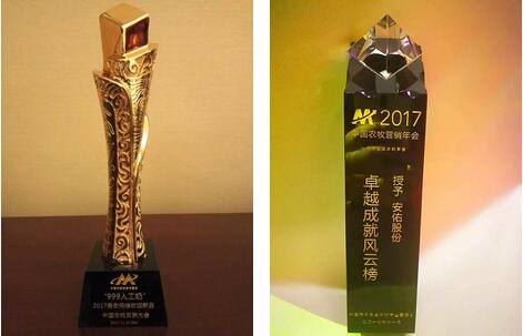安佑集团:喜讯！获“卓越成就风云榜”殊荣！