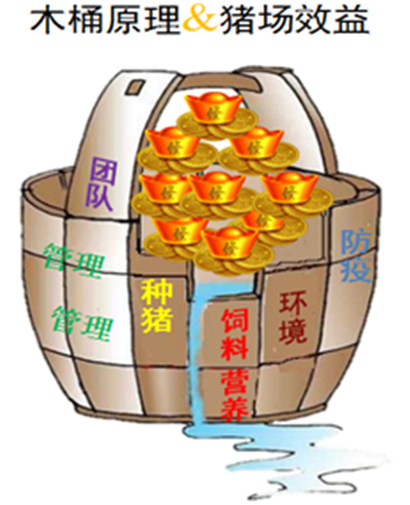 养母猪“高能”法则，产房成活率97%以上靠的是它！