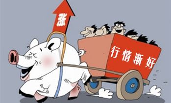 趁猪价在飞，降本增效早囤货才是正解！