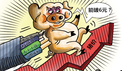 全国猪价易破15，难攻16，原因为何？