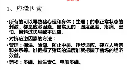 猪场最大的悲哀是什么呢？如何高效的管理猪场，学习养猪技术