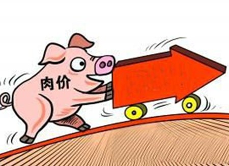 预计未来1-2月会大涨！无大跌可能！原因是……
