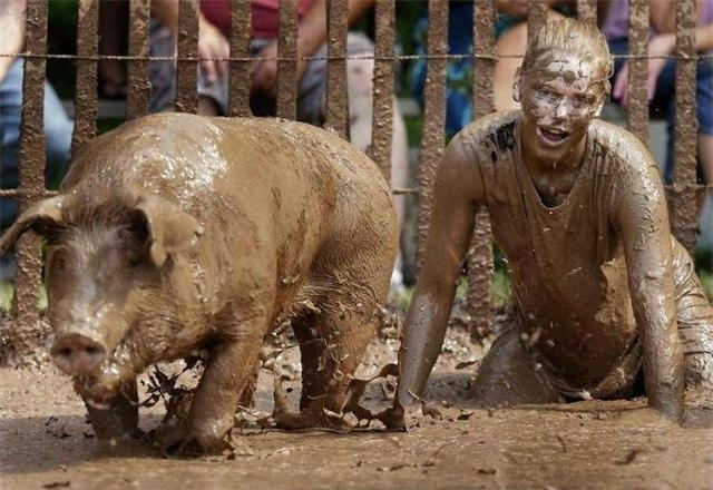 猪价平稳调整 华北、华中略有下跌