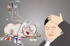 叹！猪价涨不过药价！氟苯尼考涨70%、替米考星涨60%……