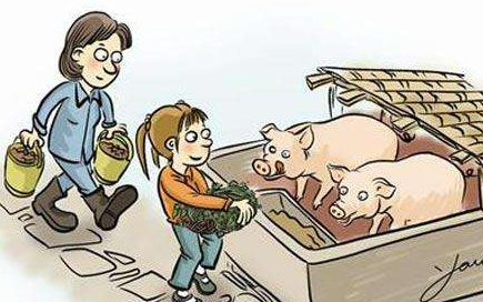 13日盘点：11月猪肉价格下降9.0%，影响CPI降0.25个百分点