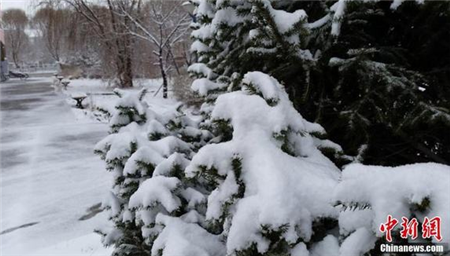我国24省份将现雨雪天气 猪价有望摆脱盘整
