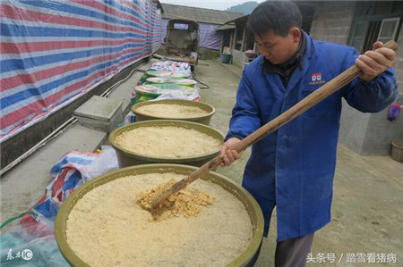 猪场用同样的饲料，为什么有的人喂出来的猪就长肉多