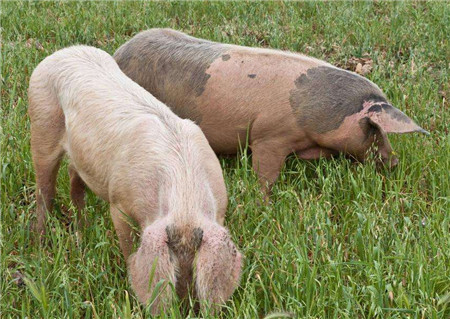 多数省份确定环保税征收税额 快看看你家征多少税