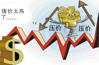 东北继续下跌，这是为什么？原因就在这里