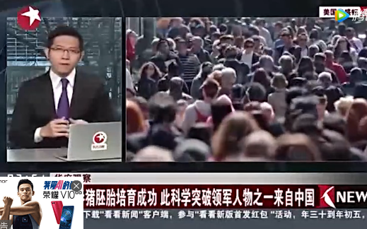 半人半猪胚胎培育成功，领军人物来自中国！
