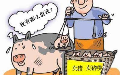 2018春节晚一个月，猪价竟会如此变化！破8有望？