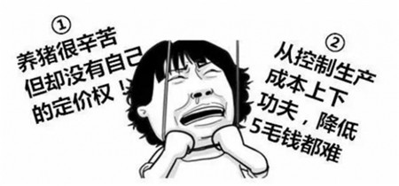 尝试改变营销方案？让养一头猪挣1000元成常态
