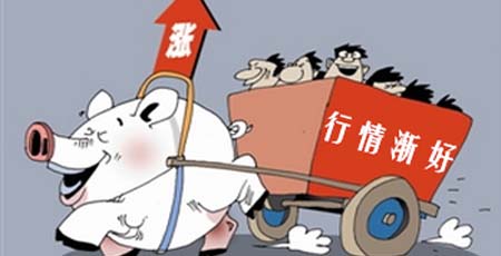 猪价冲出低迷走势，利好发酵大行情将启动