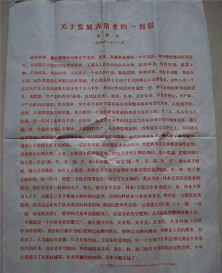 毛主席诞辰！惊现主席关于养猪业发展的一封信？
